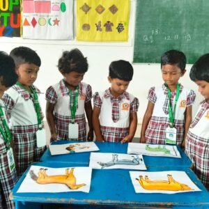 WhatsApp Image 2025-11-22 at 12.24.42 PM