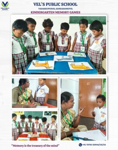 WhatsApp Image 2026-01-28 at 2.27.44 PM (1)